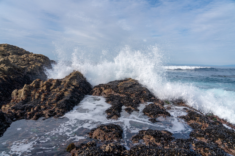 1/2,500 seconds, f/4.0, ISO 200, autofocus